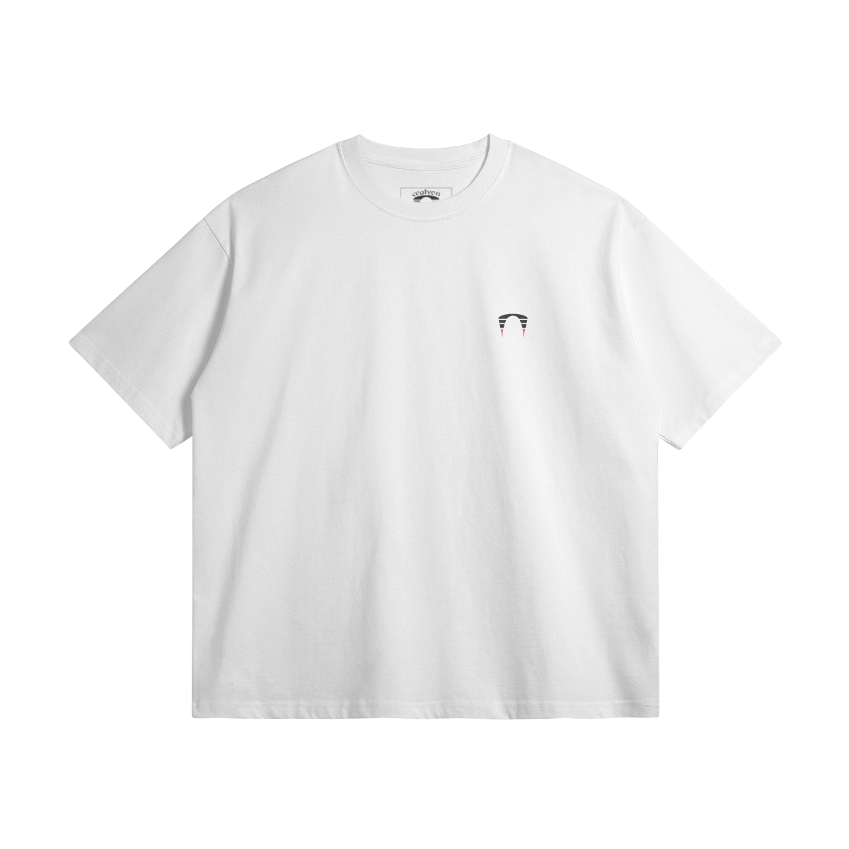 CT-T01
